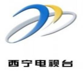 青海主流媒體